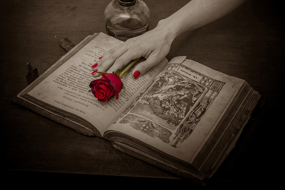 Book old book antique