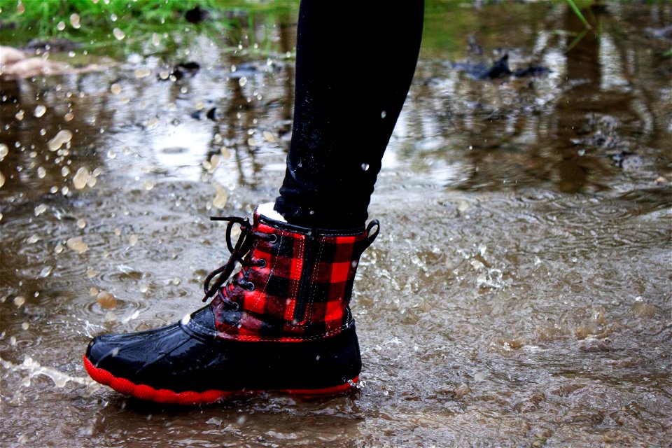 RainyDay_3_Collins
