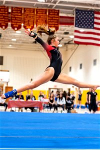 Sectional Finals-7463