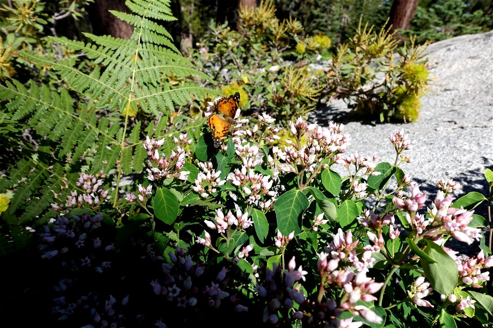 DSC00172