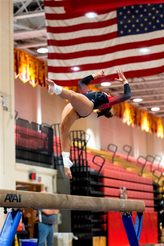 Sectional Finals-7232