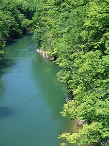 landscape with mountains trees and a river in front photo