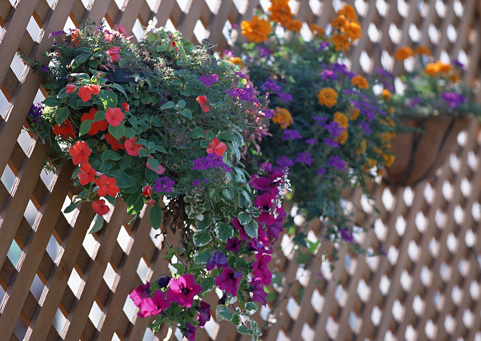 Vases on a balcony