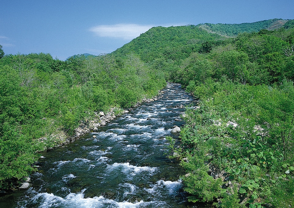 Mountain stream in a forest. photo