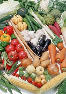 Assortment of fresh vegetables close up