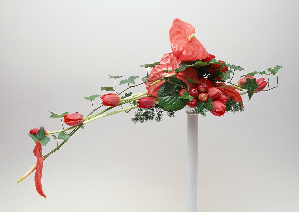 Ikebana with red spanix and tulip flowers