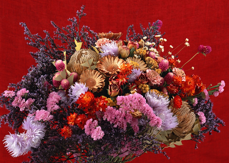 Bouquet of dry flower