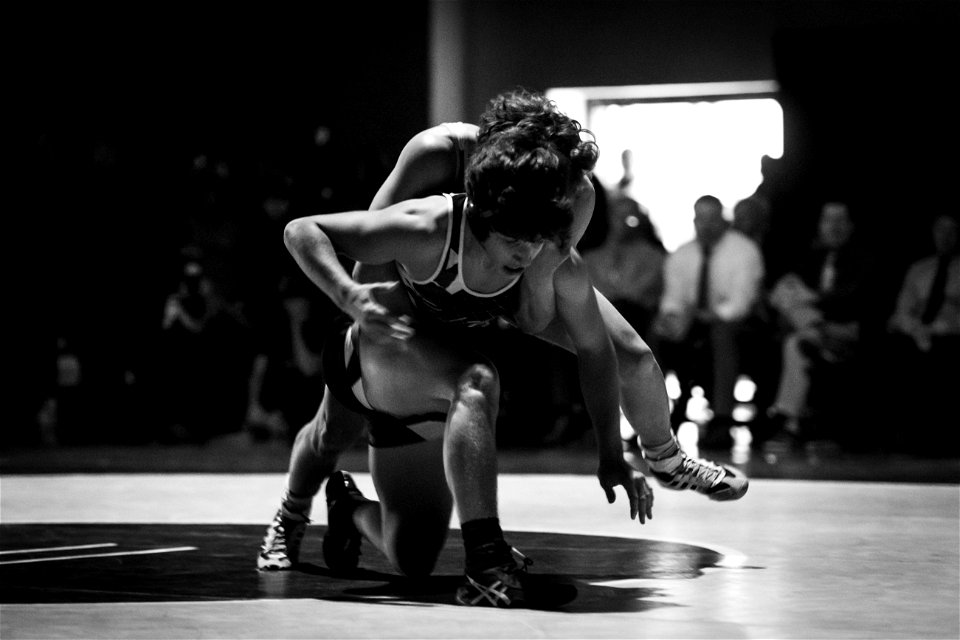 HC vs North-4319