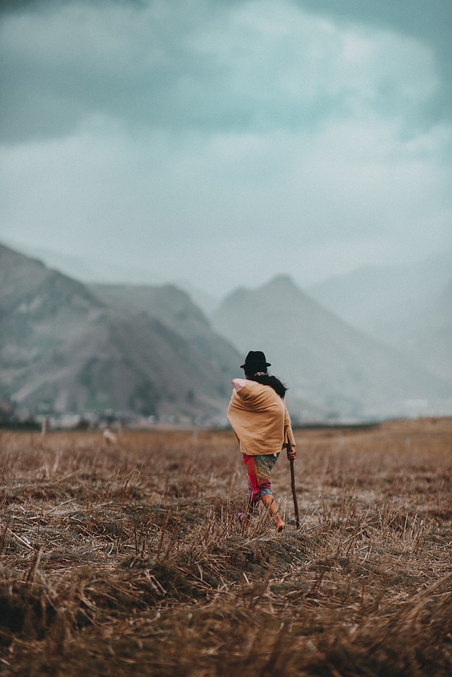 a young lady walking with her Alpacas in the valley