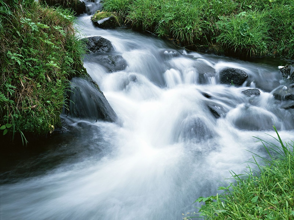 Mountain River in the wood photo