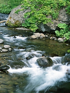 Mountain River in the wood and rock photo