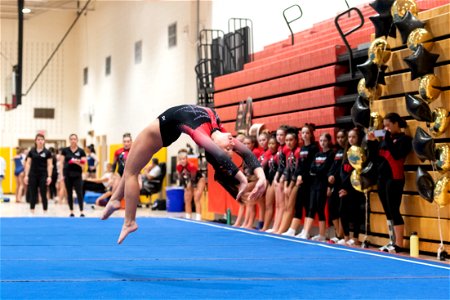 Sectional Finals-7408
