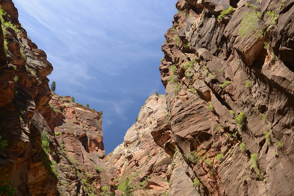 Amazing landscape of canyon in Zion National Park, The Narrow