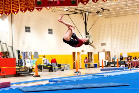 Sectional Finals-7486