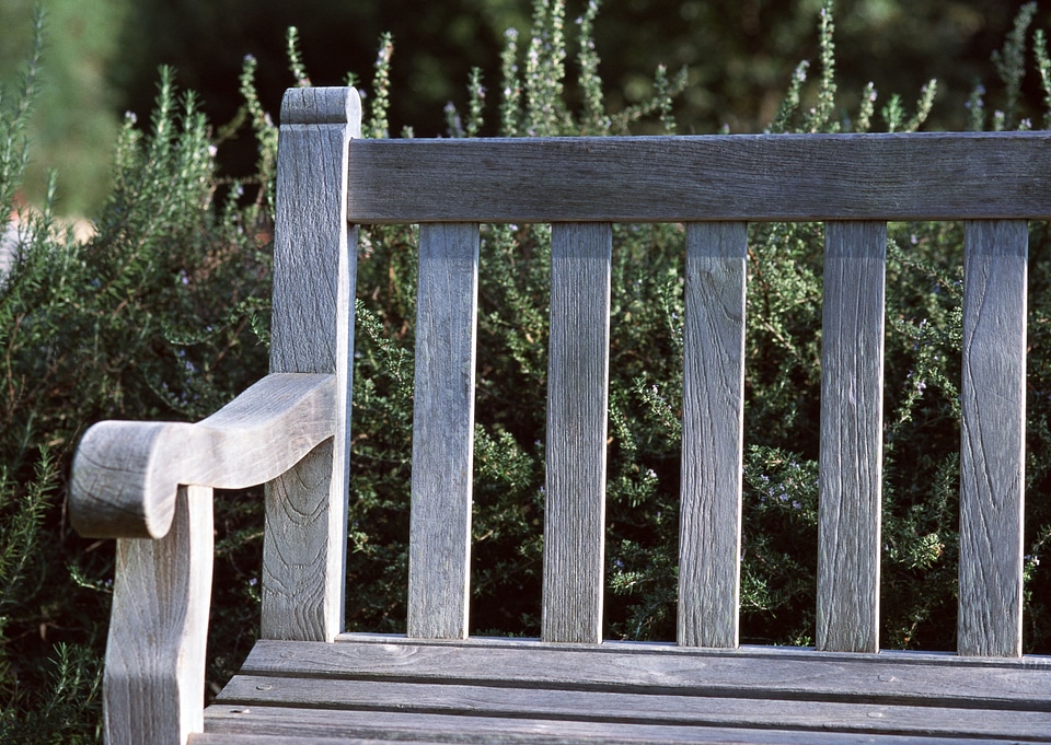 Old bench in garden