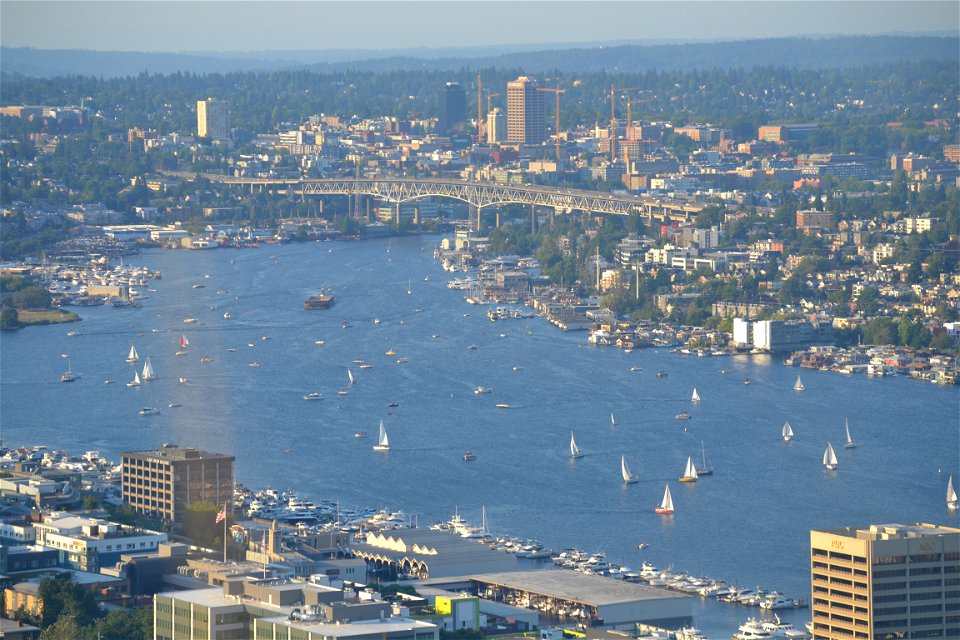 River from the Space Needle