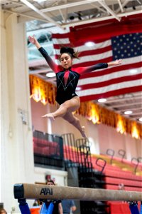 Sectional Finals-7013