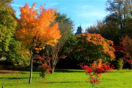 Colours of Bute Park photo