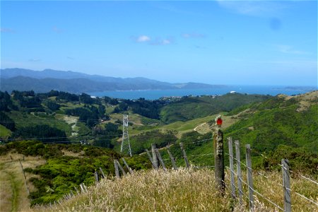 P1030804