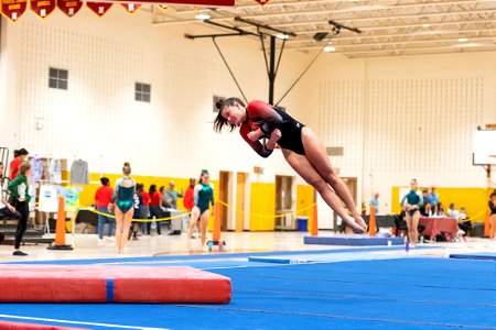 Sectional Finals-7397