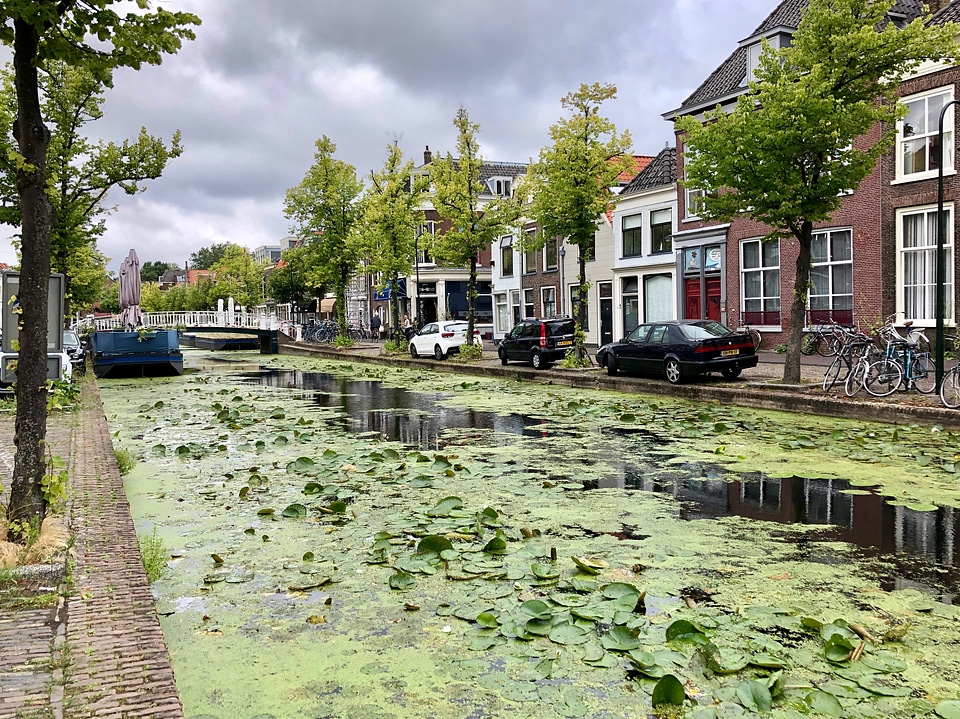 hippolytusbuurt along zuidergracht