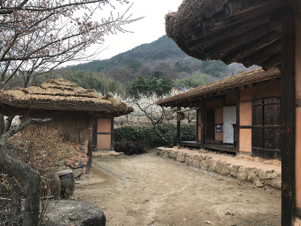 Land Toji drama set in Hadong South Korea