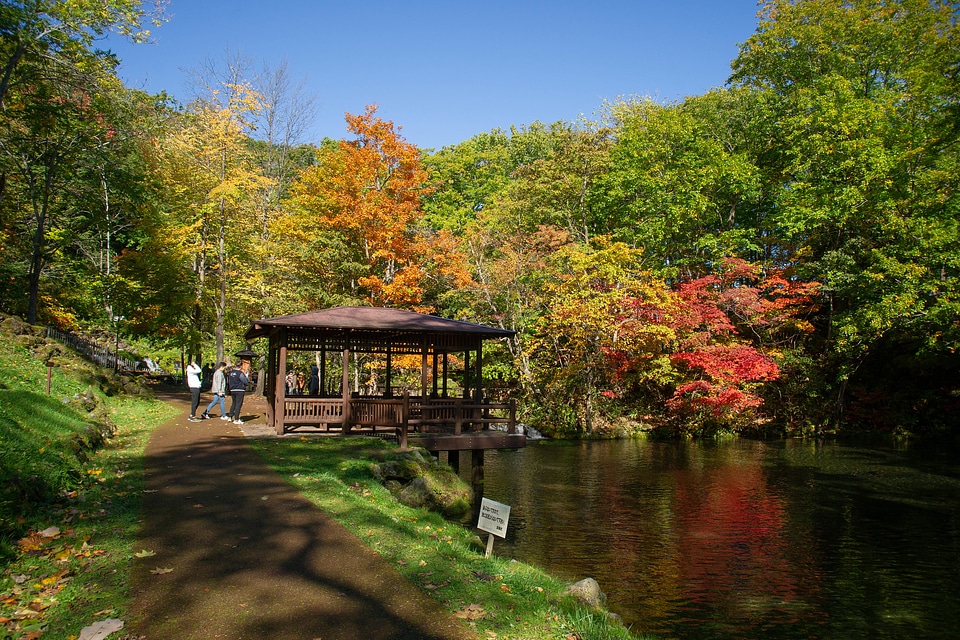 Yusui Park foliage
