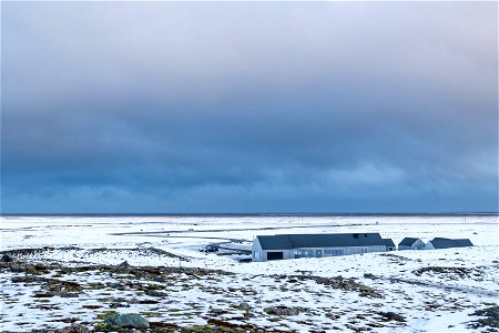 _MG_3206