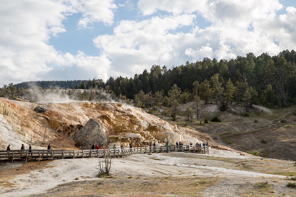 Colorful geyser in Yellowstone National Park