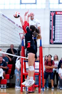 HC vs Montgomery-6593
