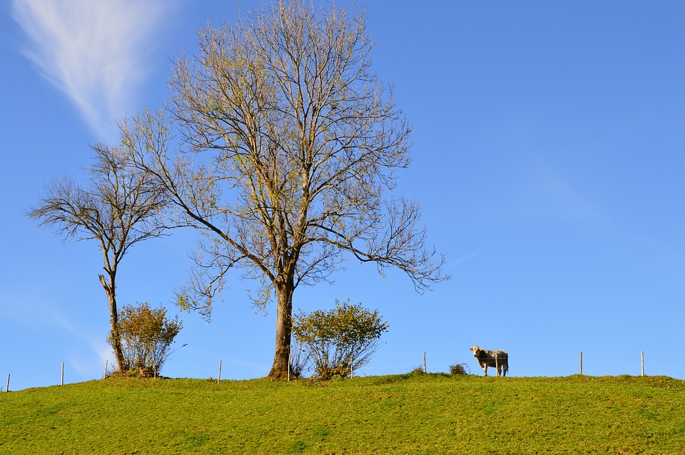 Sky blue sky autumn