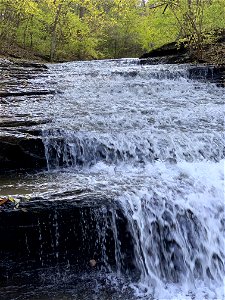 Lazarus Run Falls (Liberty Township, Ohio, USA)