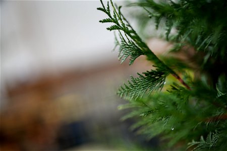 P1076808