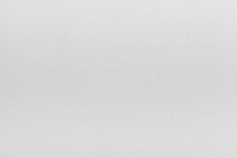 White Paper Texture photo