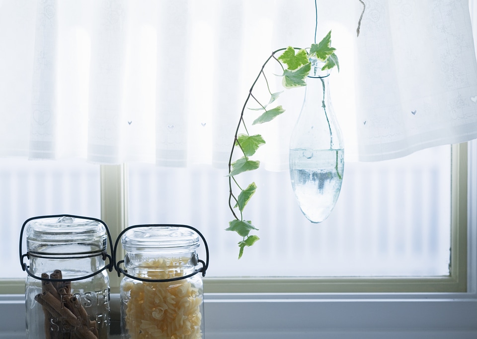Ivy on the water vase