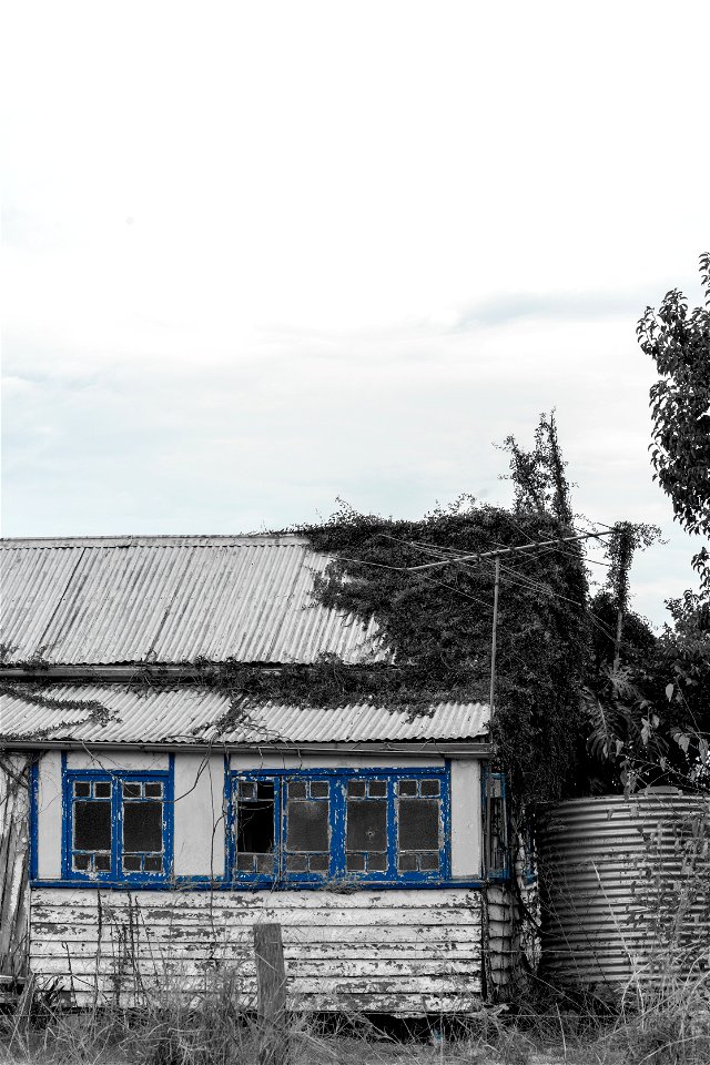 fixer upper
