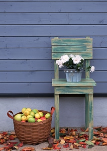 Flower in the wooden pot placed on the metal chair in the garde