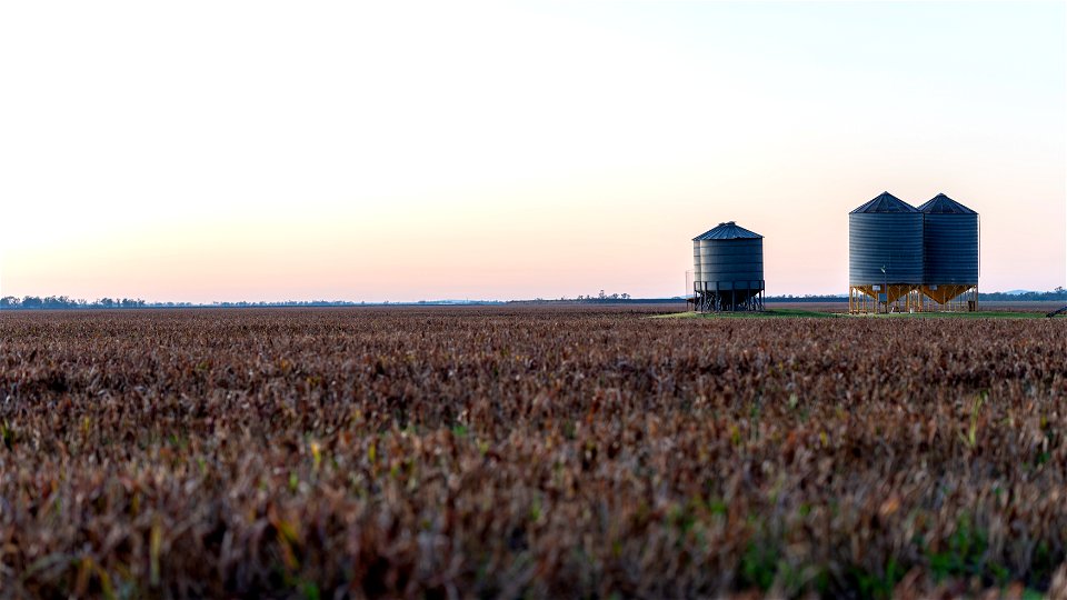 after the harvest photo