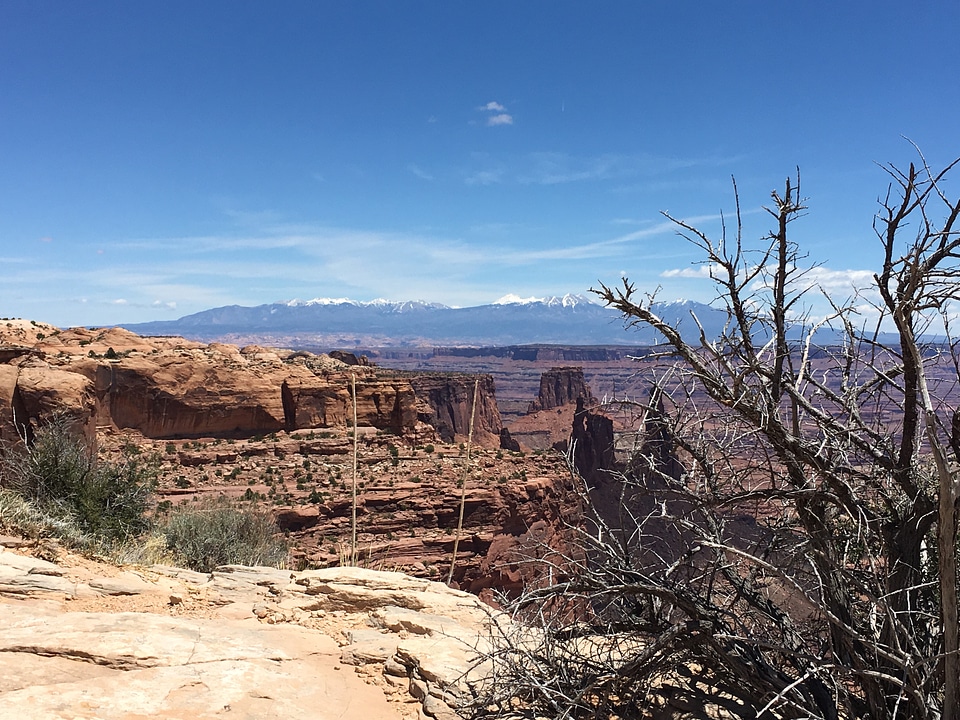 Desert landscape in Sedona, Arizona with plants