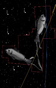 Nave Stellarium: Missão Peixes