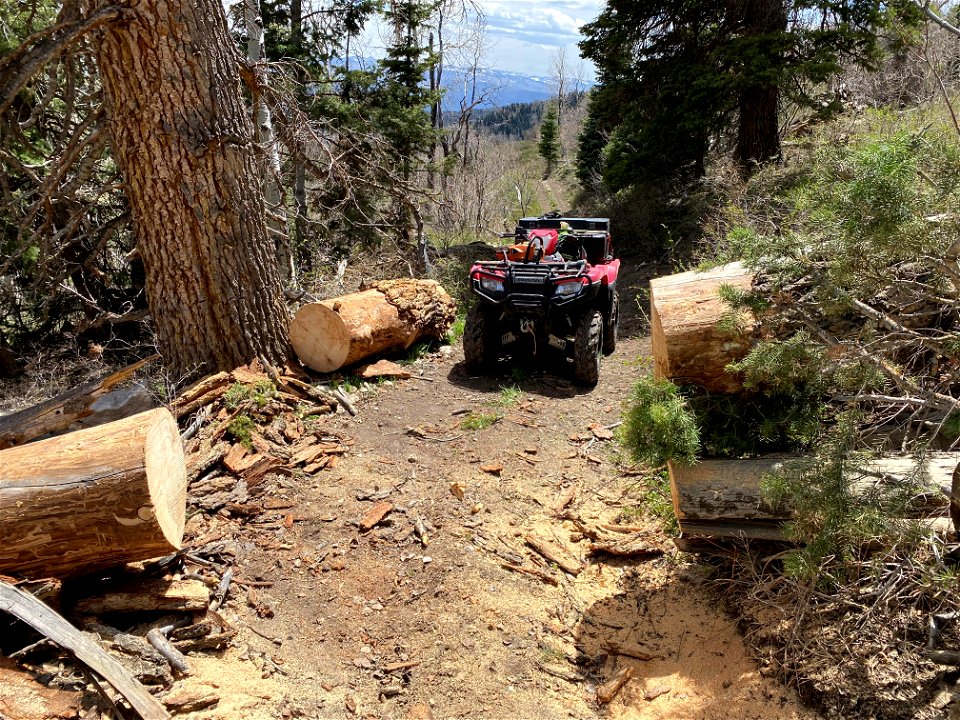 Motorized Trail Clearing After Work Has Been Done photo