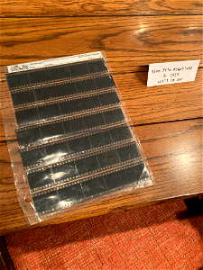 35mm Film Negatives