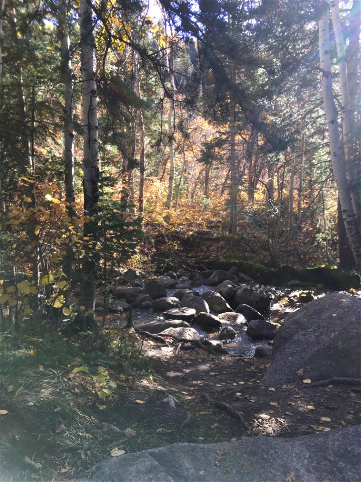 Bells Canyon, Uinta-Wasatch-Cache National Forest, Utah