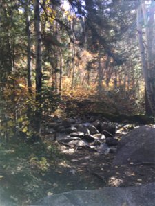 Bells Canyon, Uinta-Wasatch-Cache National Forest, Utah