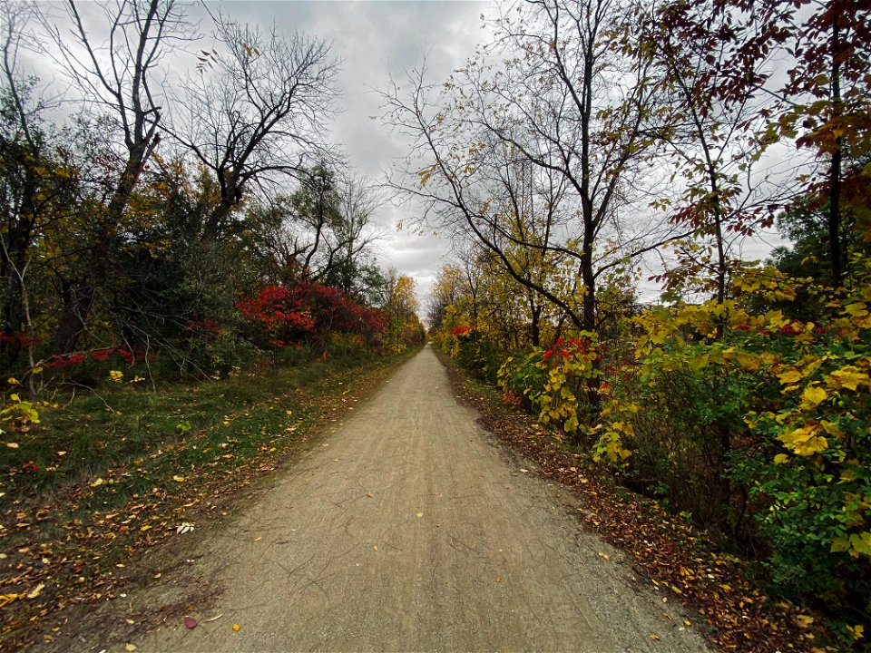 Walking by the Mohawk Lake, Brantford, Canada