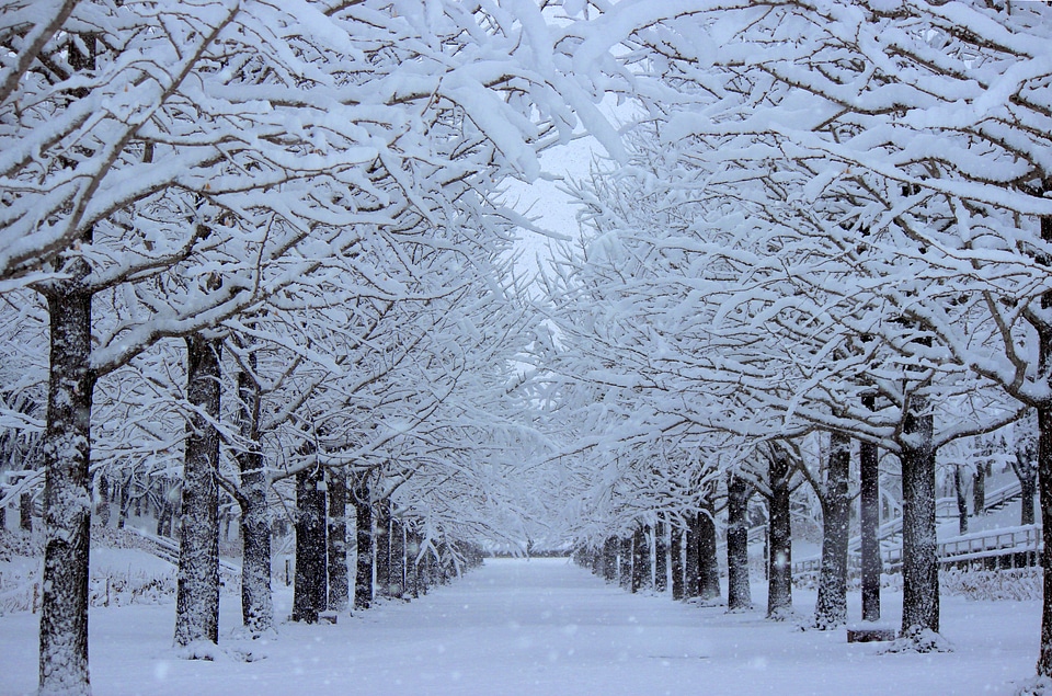 Snow winter fukushima