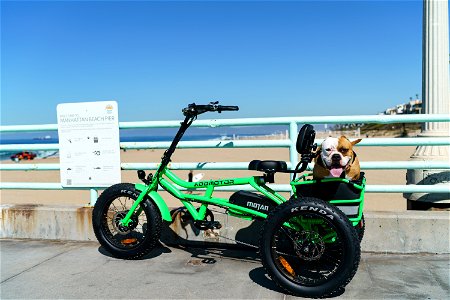 3 wheel electric bike for adults photo