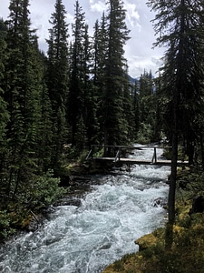 hiking trail in Opabin Plateau above Lake OHara