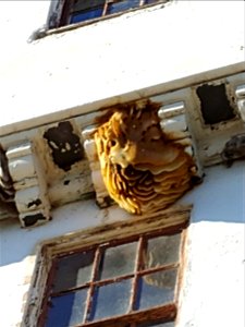 20201128_140806