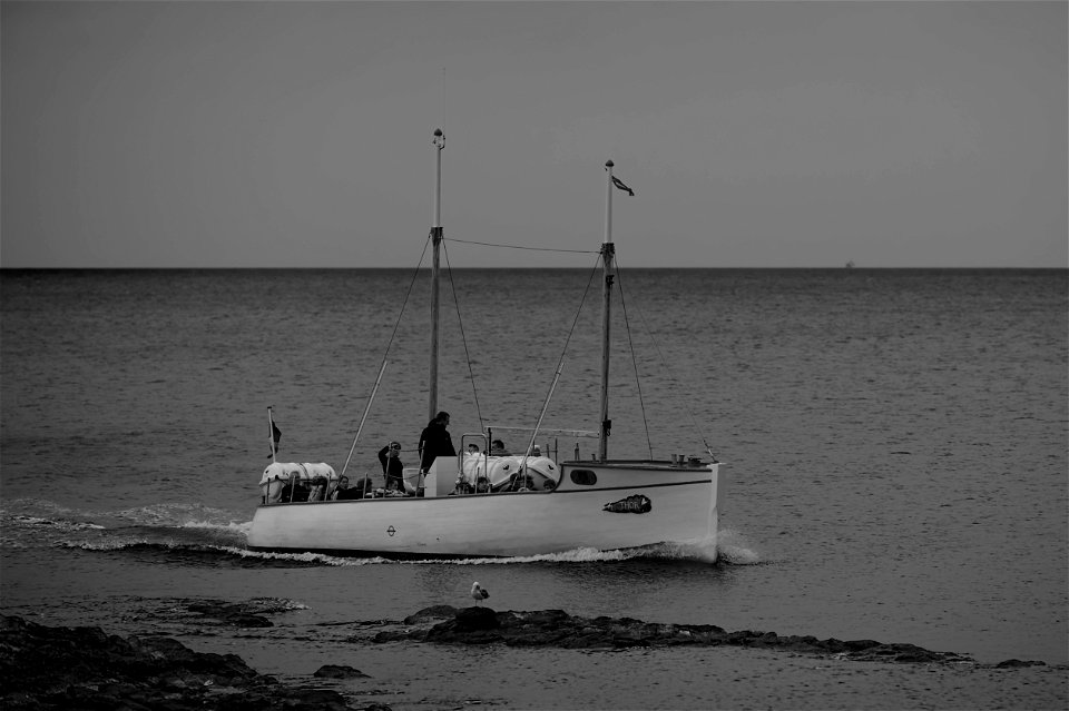 DSC_0329